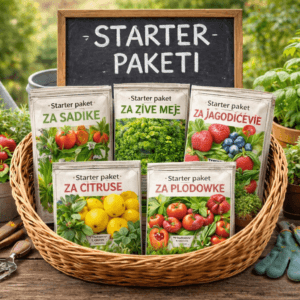 Starter paketi